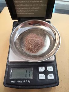 Porcupine Dates 100% Original ( 箭猪枣/豪猪枣 )印尼半粉枣=1份(细胞重生提升免疫力抗氧化快速恢复)