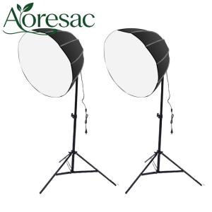 Aoresac 2 Sets Photography Lights Kit With 85W Energy-Saving Bulb And Remote Control For Live Streaming Portrait. Two Black Softbox Lights On Stands Remote Control And Three Light Modes Displayed.