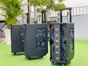 Loa Kéo Di Động Karaoke Gia Đình 3389 Chip DSP Bass Đôi 20cm Công Suất 1000W Loa 8 Đường Tiếng Kèm 2 Micro UHF Cao Cấp Nhẹ Hơi
