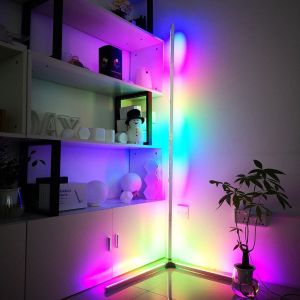 SG SELLER 2021 COLLECTION DIY Fully Lighted Minimalist Standing Light/Nordic Corner RGB Floor Lamp