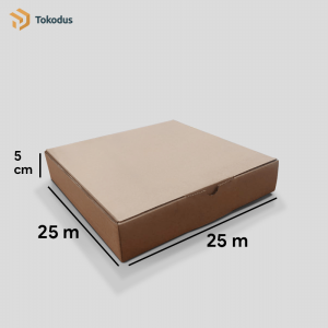 Kardus Die Cut Pizza Polos 25 x 25 x 5 cm Single Wall (ISI 10 PCS)