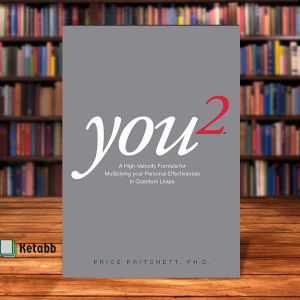 You 2 A High Velocity Formula for Multiplying Your Personal Effectiveness in Quantum Leaps by Price Pritchett [Paperback]