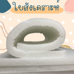 ที่นอนปิคนิค 3.5ฟุต ราคารลดพิเศษ เนื้อผ้าคอตตอน พร้อมจัดส่ง