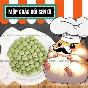 Bánh Mài Răng Vị Rau Củ Sạch Răng Cho Hamster/Sóc/Nhím/Thỏ/Bọ