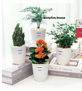 sixtyfivehouse กระถาง รดน้ำ กระถางต้นไม้ รดน้ำอัตโนมัติ รดน้ำไม่ต้องรด รดนํ้าเอง