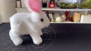 Realistic Electric Plush Rabbit Toy Walking&Barking White Bunny Interactive Electronic Pet for Kids