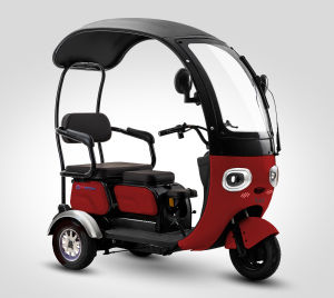 สามล้อไฟฟ้าผู้ใหญ่ มีหลังคา มีการรับประกัน จักรยานไฟฟ้า3ล้อ NWOW รุ่นERV2 สำหรับผู้สูงอายุ/ผู้ชาย/ผู้หญิง