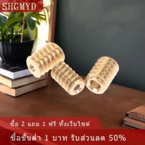 [COD] SHGMYD 2ชิ้น0.5โมดูลัส1.98มม. 2.28มม. 2.98มม. รูรับแสงเส้นผ่าศูนย์กลางรูเดียวหัวหนอนทองแดงเกียร์ตรงกับเพลา2มม. 2.3มม. 3มม.