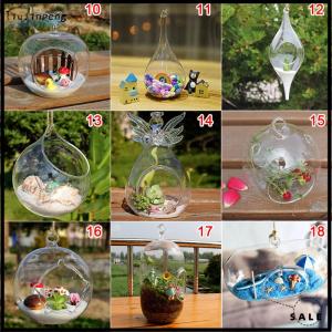 [liujinpeng] Hanging Transparent Ball Flower Planter Vase Terrarium Landscape Container