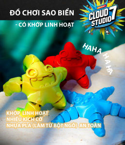 Đồ chơi Mô hình Sao Biển  có khớp chuyển động linh hoạt đồ chơi giáo dục sản phẩm in 3D