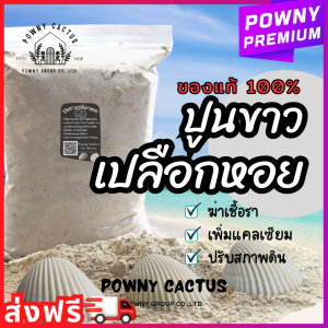 ปูนขาวเปลือกหอยแท้ ปูนเปลือกหอย 100% ฆ่าเชื้อรา แก้ปัญหาใบงอ ใบหยิก รากเน่า เพิ่มแคลเซียม