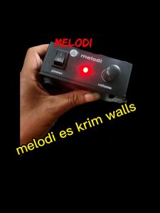 Melodi Es Krim Walls: Variasi & Desain Produk
