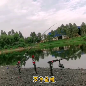 Cần câu có thể gập lại hỗ trợ tự động móc di động cần câu chủ tăng cường hookset hiệu quả