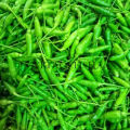 Cabai Rawit Hijau Fresh 1 KG Murah. 