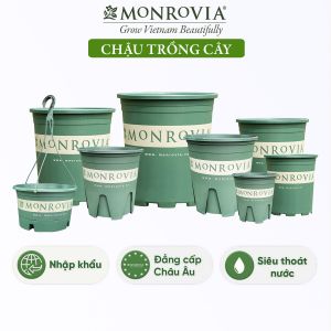 Chậu nhựa trồng cây MONROVIA để bàn treo ban công treo tường ngoài trời sân vườn tiêu chuẩn Châu Âu