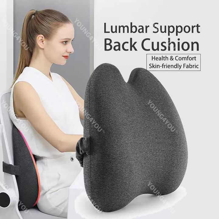 Lumbar Support Pillow for Office Chair Back Support Pillow for Car