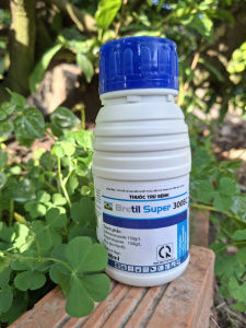 [TRUNG THIEN THINH] Thuốc trừ bệnh rỉ sắt thán thư khô vằn lem lép hạt BRETIL SUPER 300EC chai 240ml