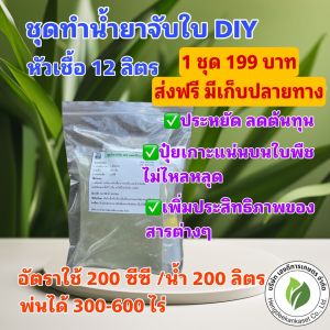ชุดทำสารจับใบ น้ำยาจับใบ DIY หัวเชื้อ 12 ลิตร