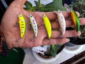 Umpan Minnow Lure Sinking 5gr 5cm: Panduan Lengkap