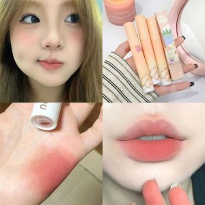 Matte Lip Tint High Pigment Lip Glaze Waterproof Shuitable for Daily Plain Makeup Lip Makeup Lipstick Tarteist Lip Paint Tinta De Labios Tint Labial Lip Crayon - Lazada