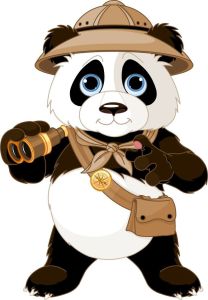 Hình Ủi Nhiệt áo Decal Nhiệt KTS gấu yêuin áo tại nhà đep.