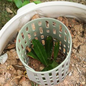 PVC Pelindung Batang Pohon Tanaman Penutup Batang Pohon Jaring Pembungkus Pohon Dapat Disesuaikan untuk Pengiriman Drop Bibit Pohon