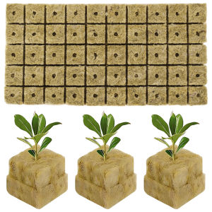 Plastic Seedling Pots 12 Holes Growing Box For Vege Fruit Seeds Greenhouse Garden Seed Tray With Lid Planting Tools