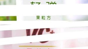 现货MY 绿箭-果粒方维生素C口香糖/5弹立方无糖口香糖/茶香弹立方口香糖 清新口气 咀嚼糖 WRIGLEYS-Doublemint Vitamin C+ Gum/5 Gum Sugarfree/Doublemint Tea Gum