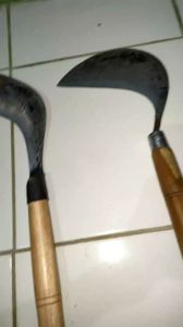 Sabit Arit Rumput Baja Super Tajam Gagang Kayu