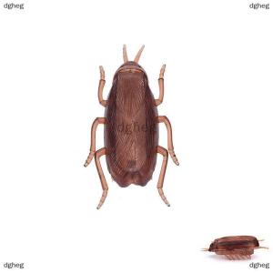 [COD] dgheg Electronic Cats Toy With Battery Cockroach Cat Toy InteractiveTraining Toys Fun