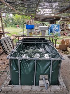 6x3x1.5 kaki Kolam Kanvas Ternak Udang Ikan / Canvas Pond For Shrimp & Fish Free Tank Connector dan PVC Frame / kembes Kolam / kolam kanvas tebal 0.55mm Super Heavy duty Tahan 6 tahun min