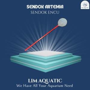 Sendok Artemia  Sendok Encu  Raket Artemia Dan Encu