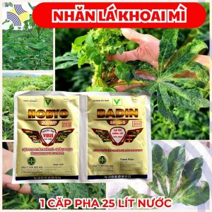 HOBYO GOLD + BADIN | Hỗ Trợ Kiểm Soát Khảm Lá Virus Giúp Cây Khoai Mì Hồi Xanh Bung Đọt Mạnh – Pha 25 Lít Nước