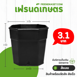 กระถาง กระถางแคคตัส กระถางแปดเหลี่ยม 3 นิ้ว สีดำ Bundle 100 ใบ ชิ้น อัน