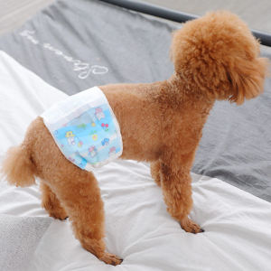 ผ้าอ้อมสัตว์เลี้ยง แผ่นเปลี่ยนผ้าอ้อมสุนัขแบบใช้แล้วทิ้ง 40/50 ชิ้น ผ้าอ้อมสัตว์เลี้ยง หมาเล็กหมาใหญ่ใช้ได้ ซับน้ำได้มากกว่าเดิม แพมเพิสแมว ผ้าอ้อมสุนัข ผ้ารองกันฉี่ แพมเพิส แมว - Lazada