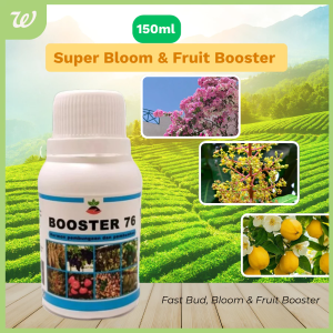 STIMULATE FRUIT BOOSTER 76 150ml Organic Flowering & Fruiting Enhancer for Plants(Liquid Fertilizer)