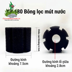 LỌC HƠI BIO XY CHO HỒ CÁ – LỌC VI SINH KẾT HỢP SỦI OXY