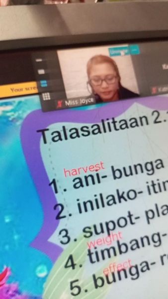 Buyer review video 2