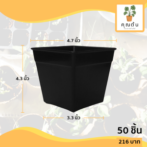 กระถาง กระถางแคคตัส กระถางสี่เหลี่ยม ขนาด 5 4.6 นิ้ว สีดำ 50 ใบ ชิ้น อัน
