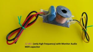 2pcs pure tweeter speaker high frequency 12dB cross-over network