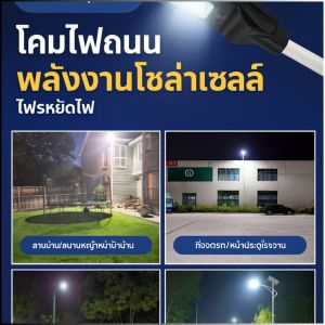 Cotton Jacket High Quality Warmth Function Light and Soft Cotton Jacket Light and Thin Spring and Autumn