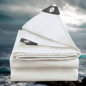 Outdoor Tarpaulin Shade Cloth Warehouse Dustproof Waterproof Cloth Cover Outdoor Garden Shade Trapal Waterproof Makapal Room Outdoor Tarpaulin