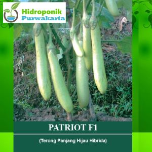 BENIH TERONG HIJAU HIBRIDA PATRIOT F1 ISI 500 BUTIR CAP MUTIARA BUMI