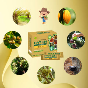 Pupuk Paten Gold Sawit: Jaminan Kesuburan Tanah dan Hasil Panen Luar Biasa