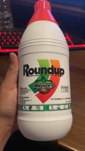 OBAT RUMPUT ROUNDUP 485SL(1LITER) HERBISIDA SISTEMIK PURNA TUMBUH UNTUK MEMBASMI GULMA/RUMPUT