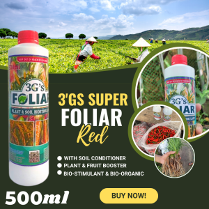 3Gs Japan Super Foliar Fertilizer Soil & Plant Growth Enhancer Vegetable Rice Red and  Green  500ML with Measuring Cup