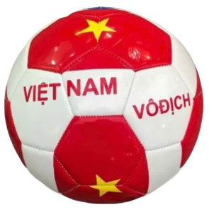Quả bóng đá Sport ĐL VIỆT NAM VÔ ĐỊCH size 5 (tặng kèm phụ kiện kim bơm lưới đựng)
