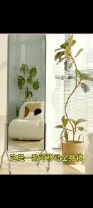 Full Body Mirror Household Floor Mirror Rotatable And Movable Dressing Mirror Bedroom Magazine Rack Storage Mirror