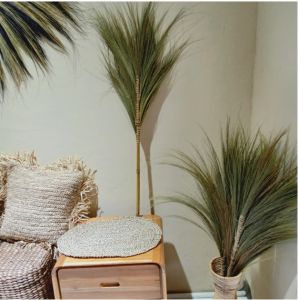 PROMO GALLERY BARU Stick/Stik Bunga Rayung Kering Mini 8 Cabang