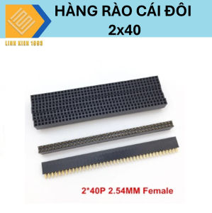 [ 2 CÂY ] Hàng rào cái đôi 2x40 Female cao 11.5mm khoảng cách 2 chân 2.54mm